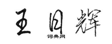 駱恆光王日輝行書個性簽名怎么寫