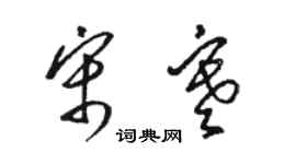 駱恆光宋寒草書個性簽名怎么寫