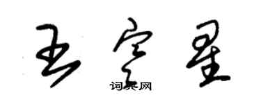 朱錫榮王寒星草書個性簽名怎么寫