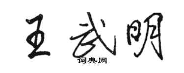 駱恆光王武明行書個性簽名怎么寫