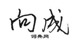 駱恆光向成行書個性簽名怎么寫