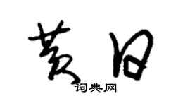 朱錫榮黃日草書個性簽名怎么寫