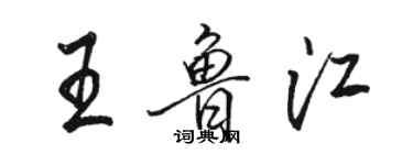 駱恆光王魯江行書個性簽名怎么寫