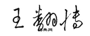 駱恆光王翻博草書個性簽名怎么寫