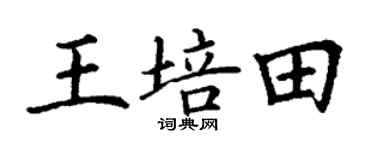 丁謙王培田楷書個性簽名怎么寫