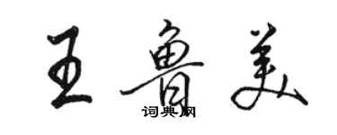 駱恆光王魯美行書個性簽名怎么寫