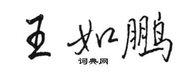 駱恆光王如鵬行書個性簽名怎么寫