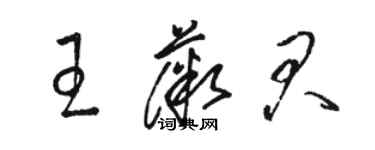 駱恆光王薇君草書個性簽名怎么寫