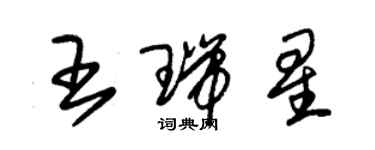 朱錫榮王瑞星草書個性簽名怎么寫