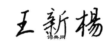 王正良王新楊行書個性簽名怎么寫