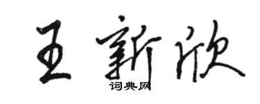 駱恆光王新欣行書個性簽名怎么寫