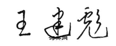 駱恆光王建彪草書個性簽名怎么寫