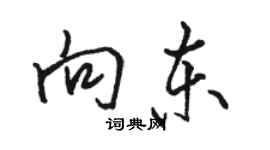 駱恆光向東行書個性簽名怎么寫