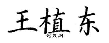 丁謙王植東楷書個性簽名怎么寫