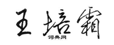 駱恆光王培霜行書個性簽名怎么寫
