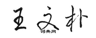 駱恆光王文朴行書個性簽名怎么寫