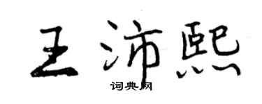 曾慶福王沛熙行書個性簽名怎么寫