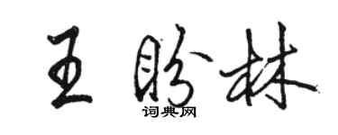 駱恆光王盼林行書個性簽名怎么寫