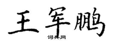丁謙王軍鵬楷書個性簽名怎么寫
