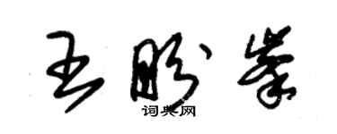 朱錫榮王盼峰草書個性簽名怎么寫