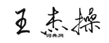 駱恆光王傑操行書個性簽名怎么寫