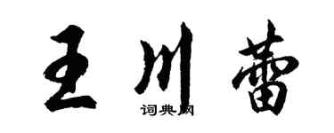 胡問遂王川蕾行書個性簽名怎么寫