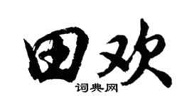 胡問遂田歡行書個性簽名怎么寫