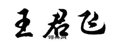 胡問遂王君飛行書個性簽名怎么寫