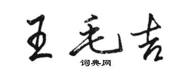 駱恆光王毛吉行書個性簽名怎么寫