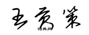 朱錫榮王貢策草書個性簽名怎么寫