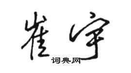駱恆光崔宇行書個性簽名怎么寫