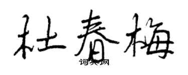 曾慶福杜春梅行書個性簽名怎么寫