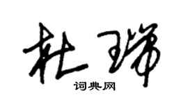 朱錫榮杜瑞草書個性簽名怎么寫