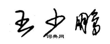 朱錫榮王少鵬草書個性簽名怎么寫