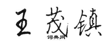 駱恆光王茂鎮行書個性簽名怎么寫