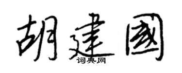 王正良胡建國行書個性簽名怎么寫