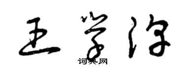 曾慶福王學淳草書個性簽名怎么寫