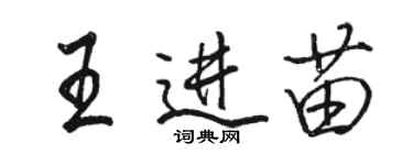 駱恆光王進苗行書個性簽名怎么寫