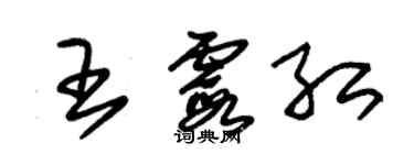 朱錫榮王霞紅草書個性簽名怎么寫