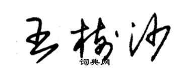 朱錫榮王樹沙草書個性簽名怎么寫