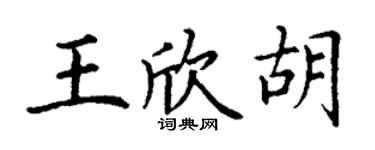 丁謙王欣胡楷書個性簽名怎么寫