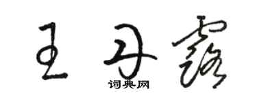 駱恆光王丹露草書個性簽名怎么寫
