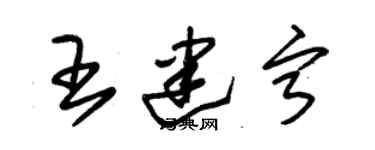 朱錫榮王建寧草書個性簽名怎么寫