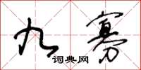 王冬齡九寡草書怎么寫