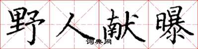 丁謙野人獻曝楷書怎么寫