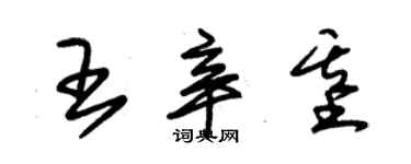 朱錫榮王辛基草書個性簽名怎么寫