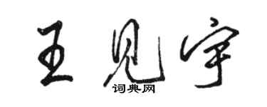 駱恆光王見宇行書個性簽名怎么寫