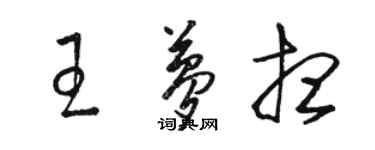 駱恆光王夢想草書個性簽名怎么寫