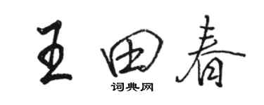 駱恆光王田春行書個性簽名怎么寫