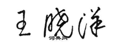 駱恆光王曉洋草書個性簽名怎么寫